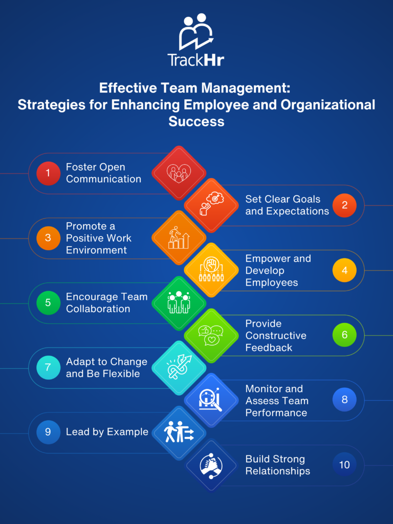 Team management stratergies